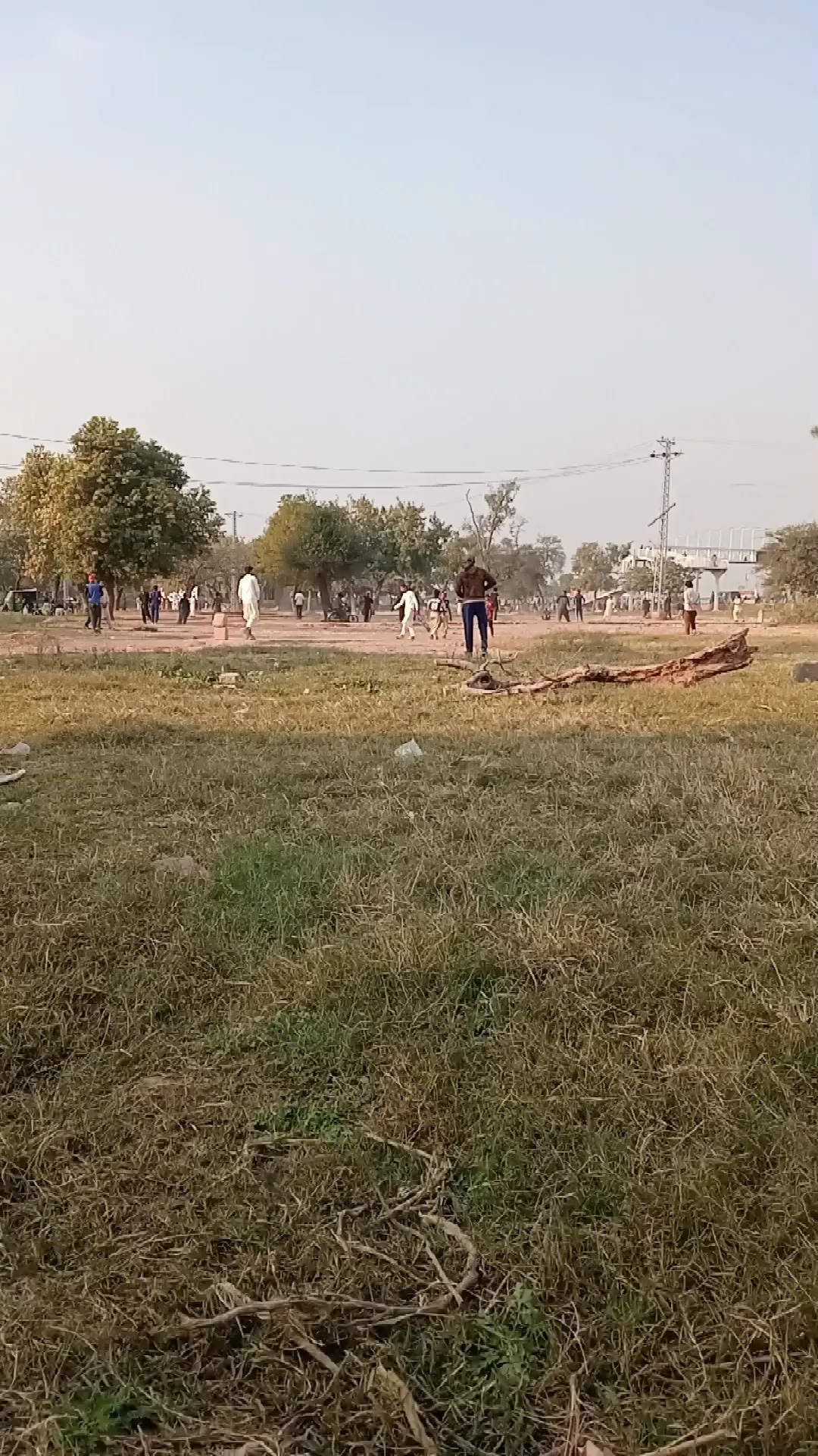 Cricket ground 