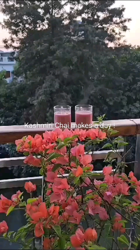 Kashmiri Tea 